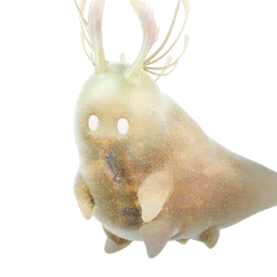 星之虫·咏